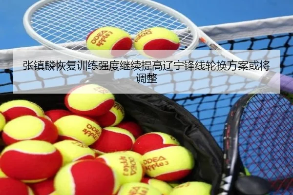 张镇麟恢复训练强度继续提高辽宁锋线轮换方案或将调整（XINGKONG）